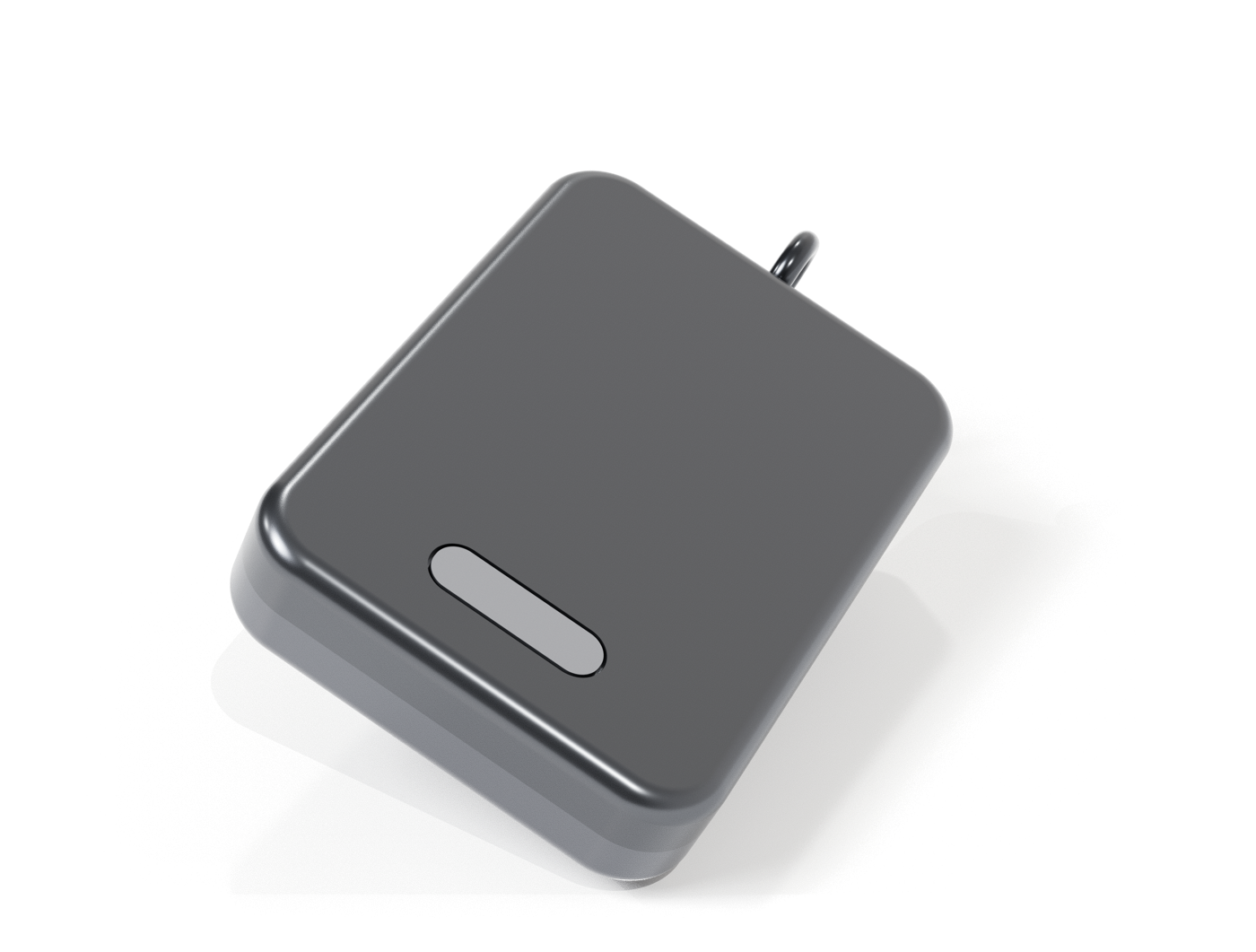 A small wearable enclosure, shown for illustration